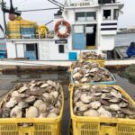 Japan resumes seafood exports to China after ban over Fukushima wastewater 