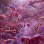 Ethiopia confirms first outbreak of Marburg virus