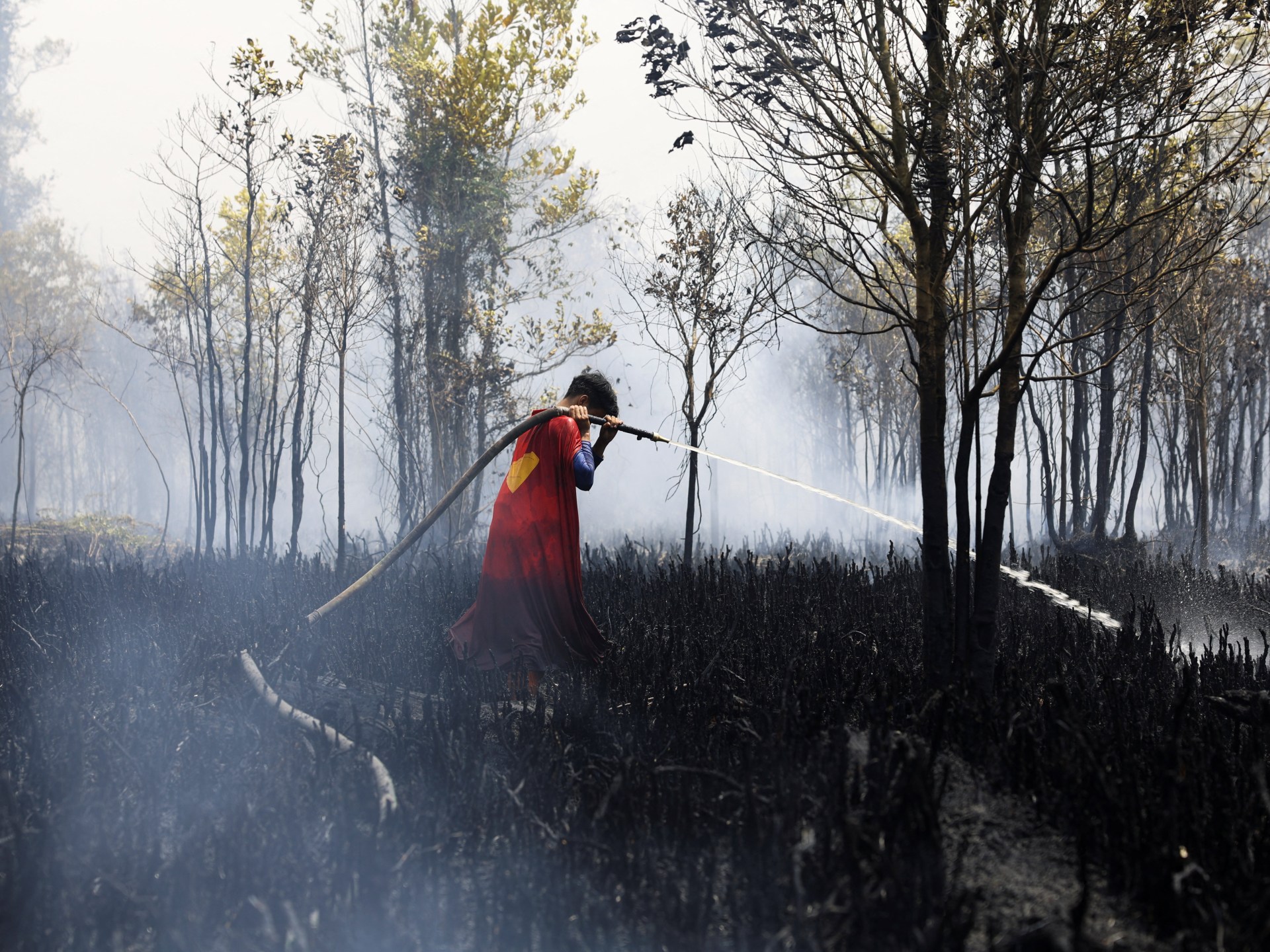 El Nino set to be most intense ‘for over a century': UK forecasters