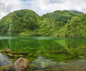 The Caribbean Islands Actually Growing While Everyone Watches The Big Names